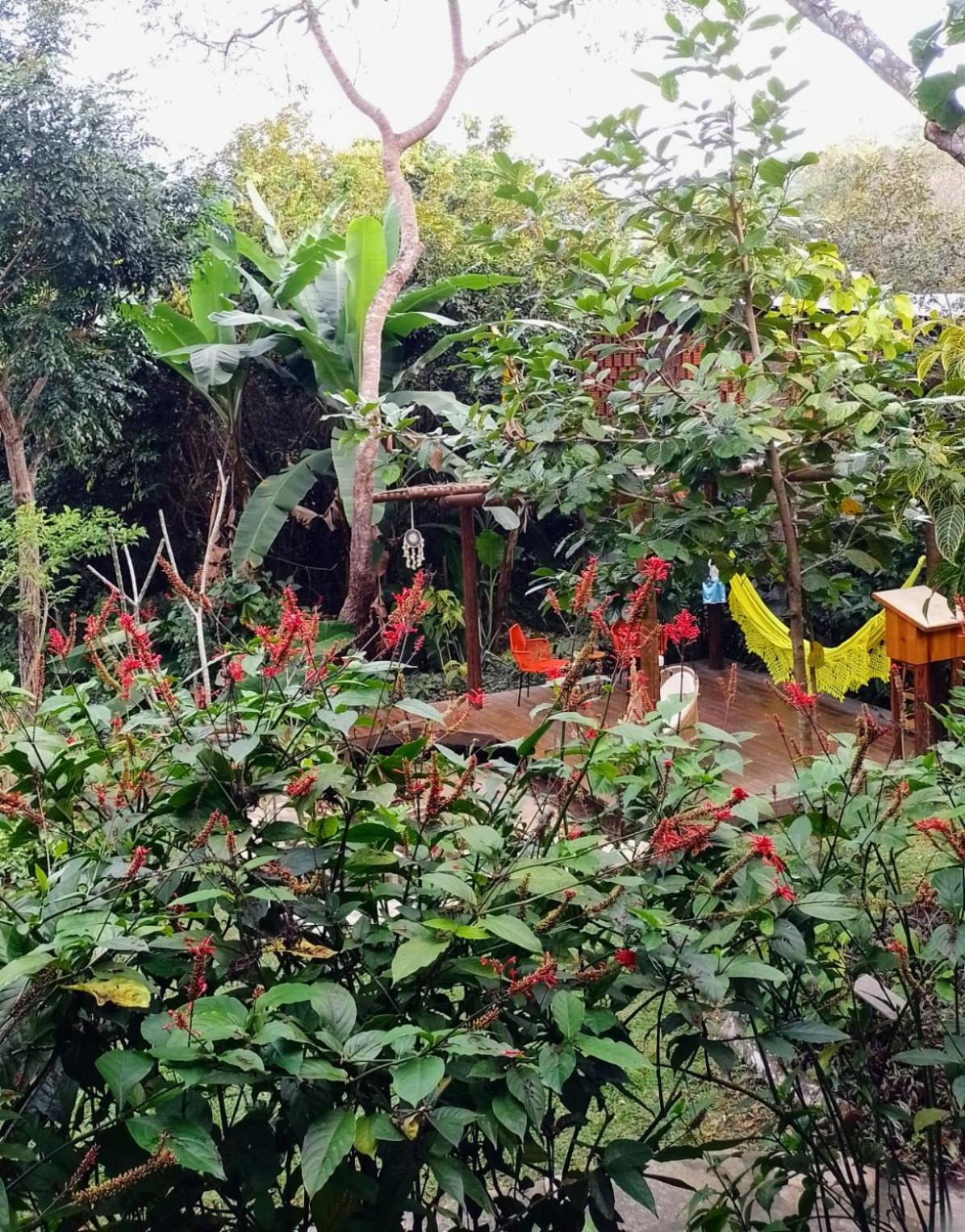 Casa Viva a Vida B&B Lencois Exterior foto
